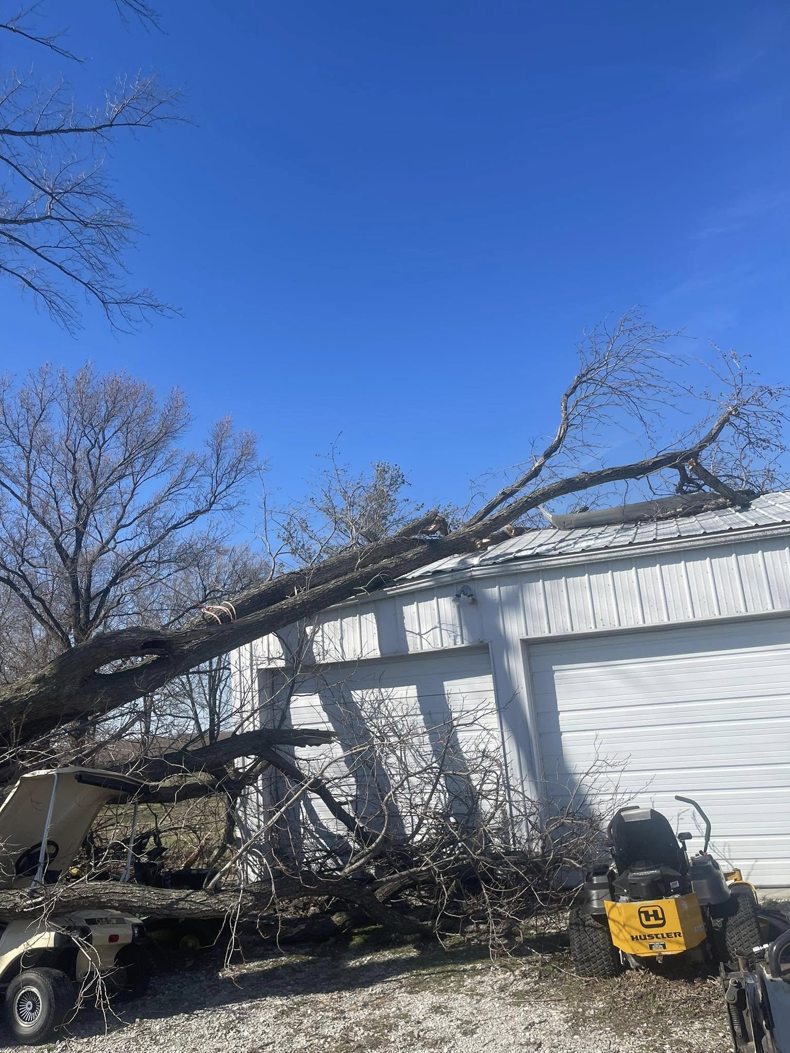 Tree Care Work