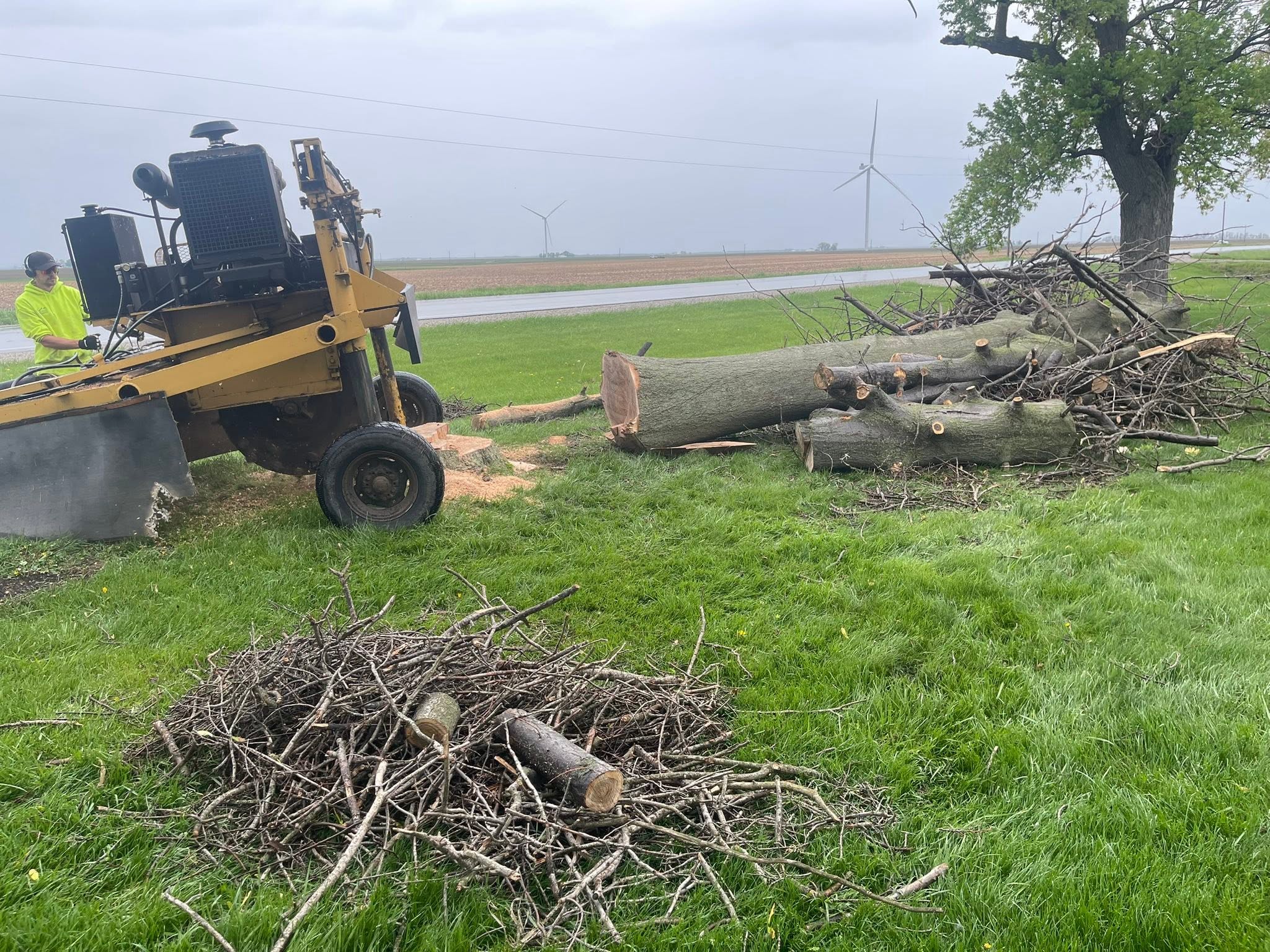 Tree Maintenace Work