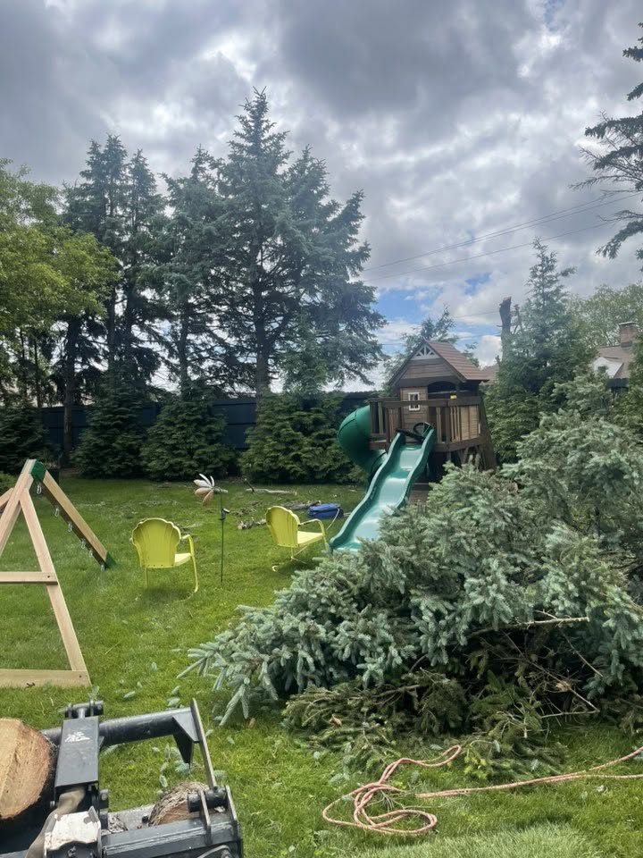 Tree Care Work